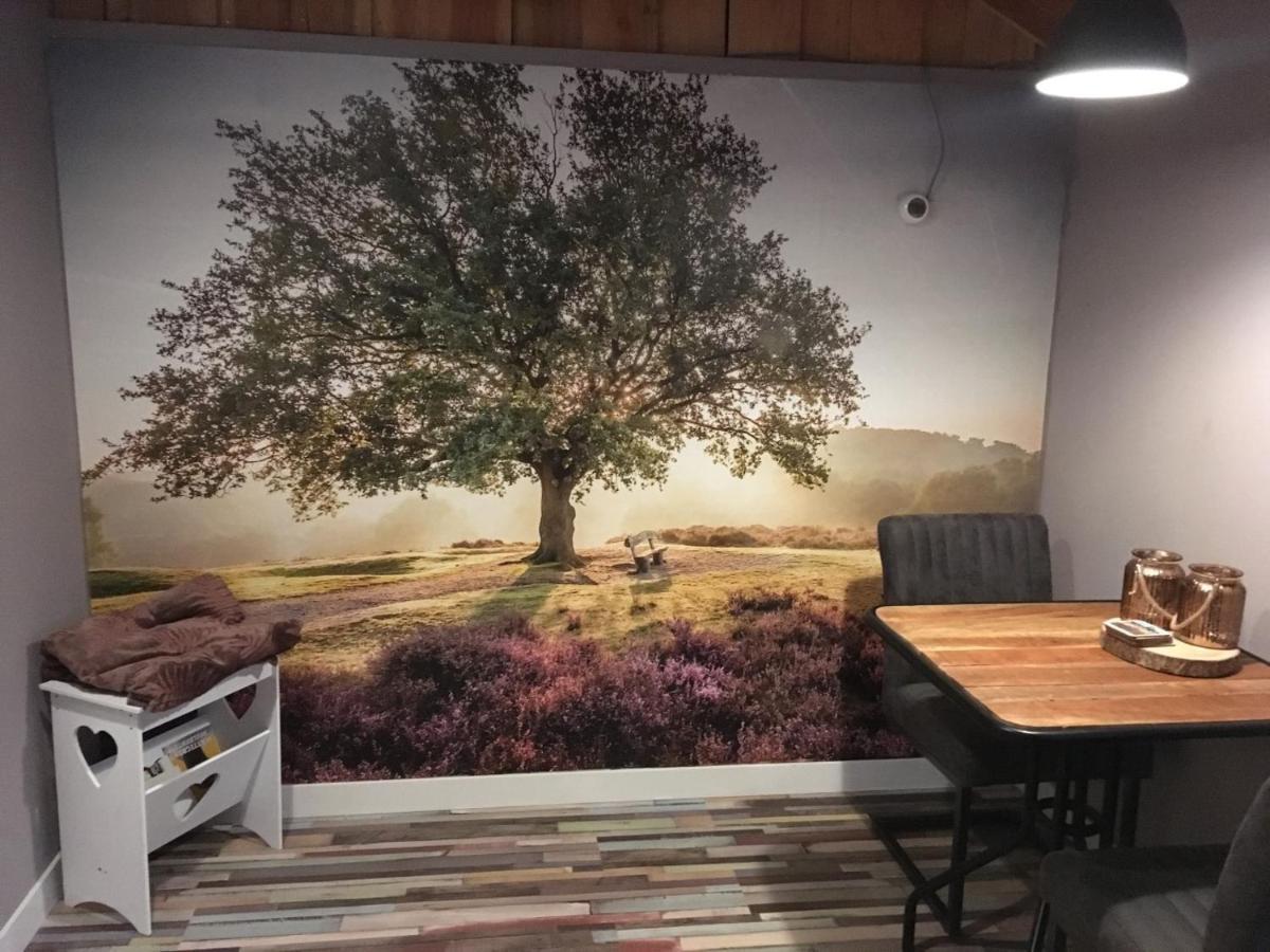 Veluwse Bos En Heide Studio Otterlo Luaran gambar