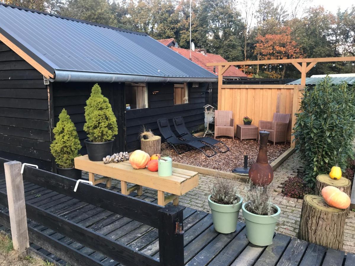 Veluwse Bos En Heide Studio Otterlo Luaran gambar